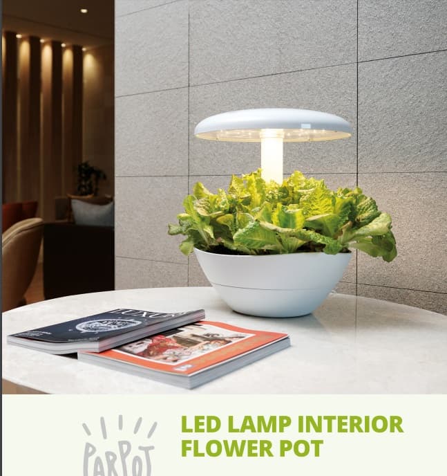 Korean Led lamp interior flower pot__ Household goods